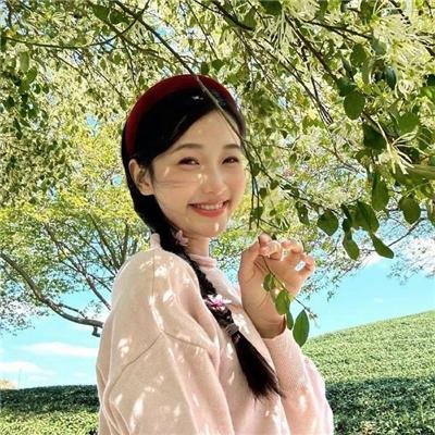 大卫·戈尔的一生